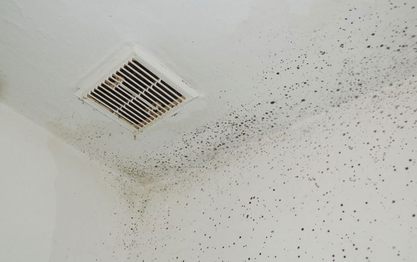 🚿 Comment éliminer la moisissure sur le plafond d'une salle de