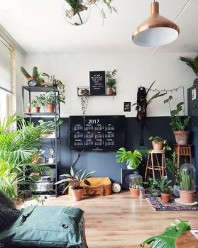 Déco jungle : idées pour dépayser son intérieur - Côté Maison