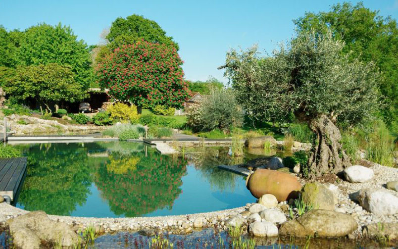 Piscine Naturelle Prix