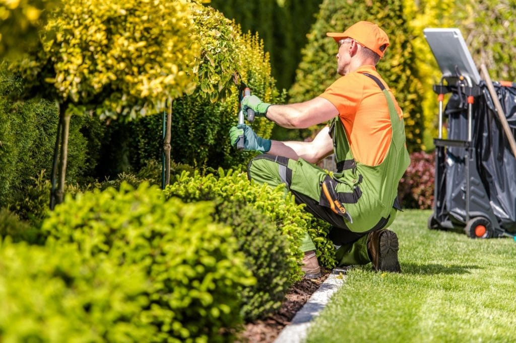 entretien-de-votre-jardin-combien-a-co-te-les-tarifs