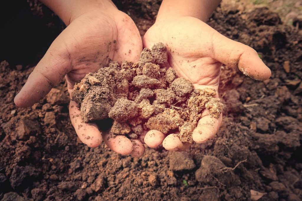 Comment enrichir une terre très pauvre ?