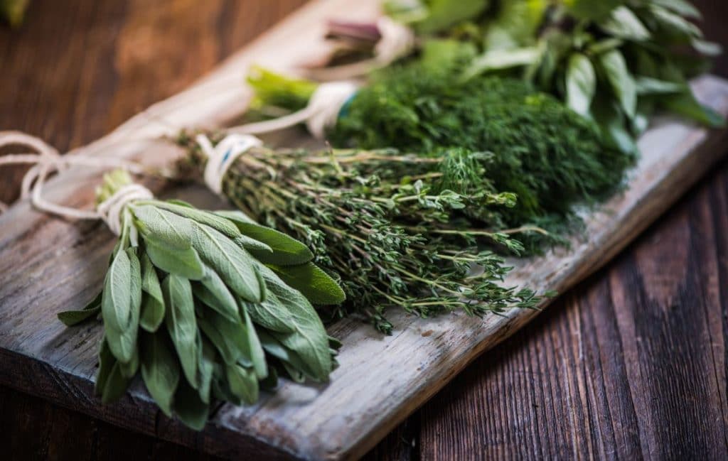 Fines Herbes : Les étapes Et Conseils Pour Les Cultiver