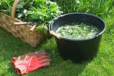 5 purins faciles à préparer pour protéger et nourrir vos plantes