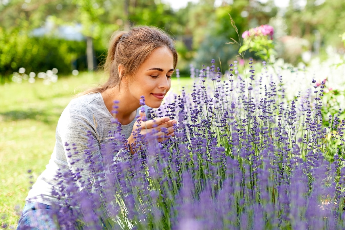 5 plantes à associer à la lavande pour un jardin coloré et esthétique