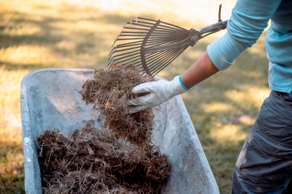 Ajouter les résidus de tontes au compost