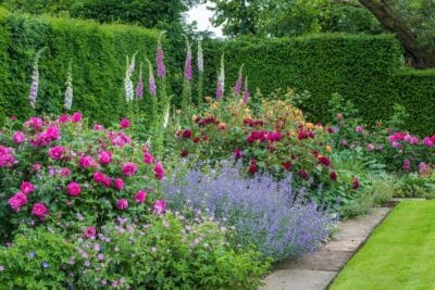 Mixed-border comment aménager votre propre jardin à l'anglaise